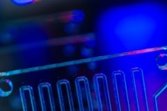 Close-up of Liquid Silicone Rubber (LSR) component with visible channels, used in biopharma applications Close-up of Liquid Silicone Rubber (LSR) component with visible channels, used in biopharma applications