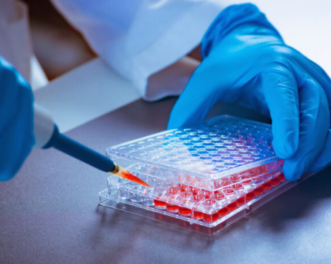 Scientist uses a pipette to transfer liquid into a bio-sample plate, showcasing biopharma research